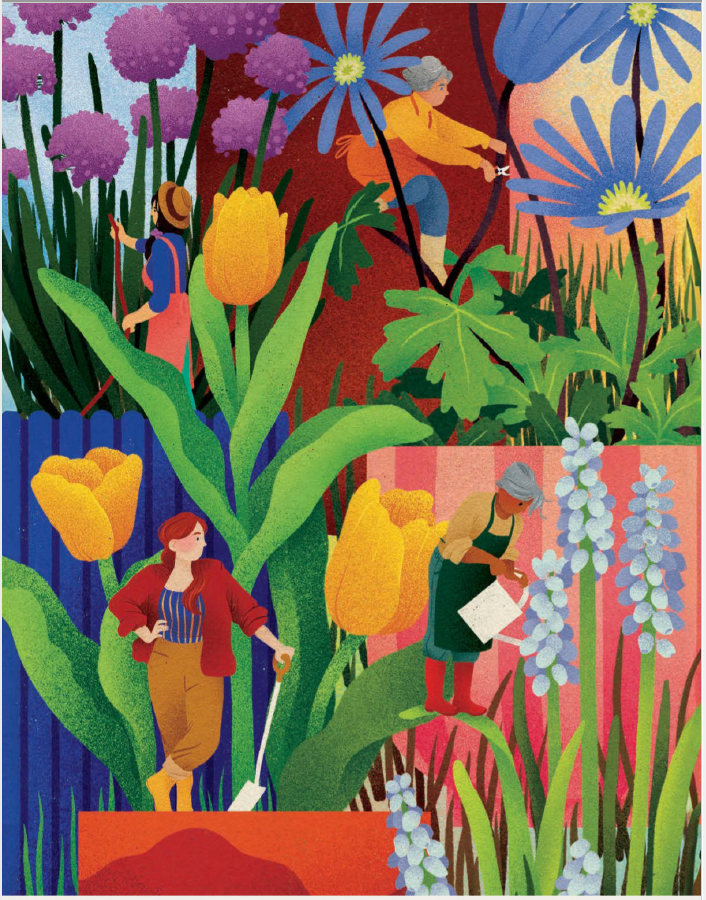 Amateur Gardening – 1 November 2025