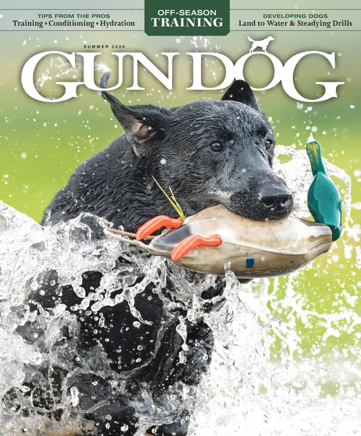 Gun Dog – Summer 2026